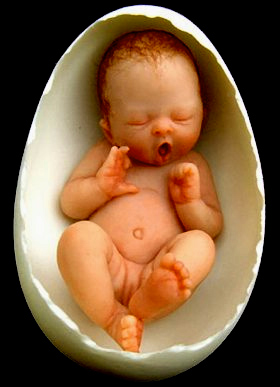 She says the first miniature baby she made was curled in a fetal position, and she even gave it an umbilical cord, as if it was still in the womb.  The shape and size of the baby seemed similar to that of an egg shell. She tried this, and the baby fit perfectly inside.   