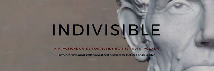 We’re still developing our long-term strategy, and we want to hear from you about what you need and want. But going forward, you’ll see a lot more from us in those two buckets of work above—we want to demystify the heck out of Congress and build a vibrant community of angelic troublemakers. - Indivisible Guide 