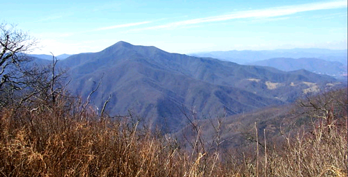 View of Cold Mountain, Shining Rock Wilderness - Webcam
