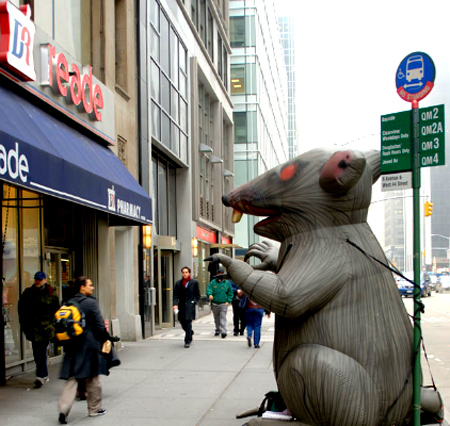 The National Labor Relations Board (NLRB) ruled on Thursday that labor unions should have the right to display 16-foot, rat-shaped balloons outside businesses with which they disagree.  